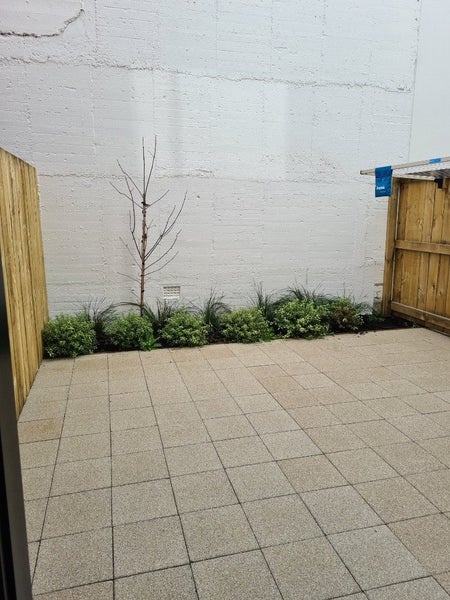 8/182 London Street, Hamilton Central, Hamilton - Carousel 13