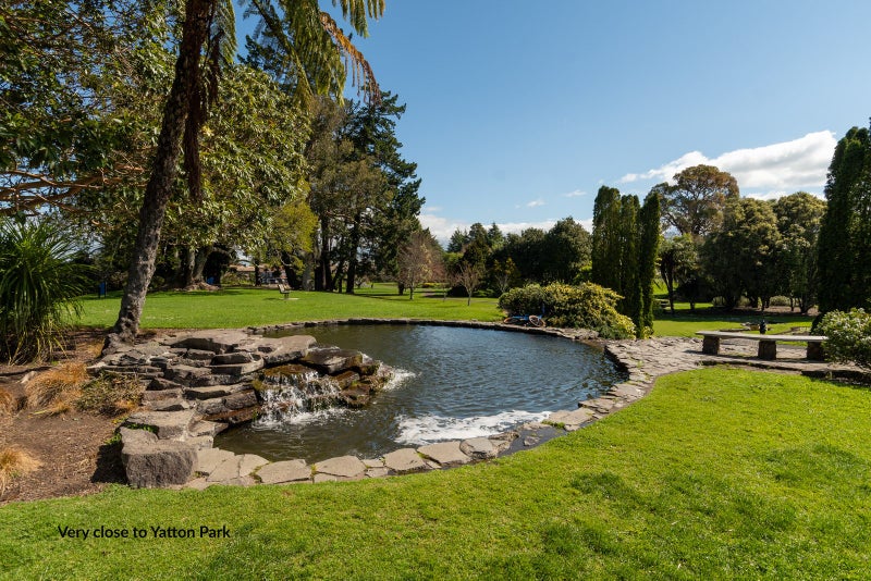 559 Fraser Street, Greerton, Tauranga - Carousel 28