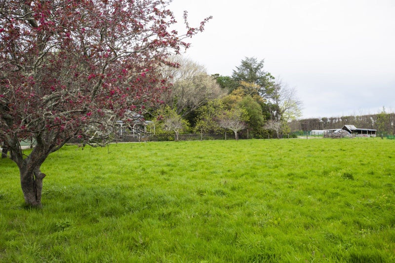 108 Pilmer Road, Makauri, Gisborne - Carousel 32