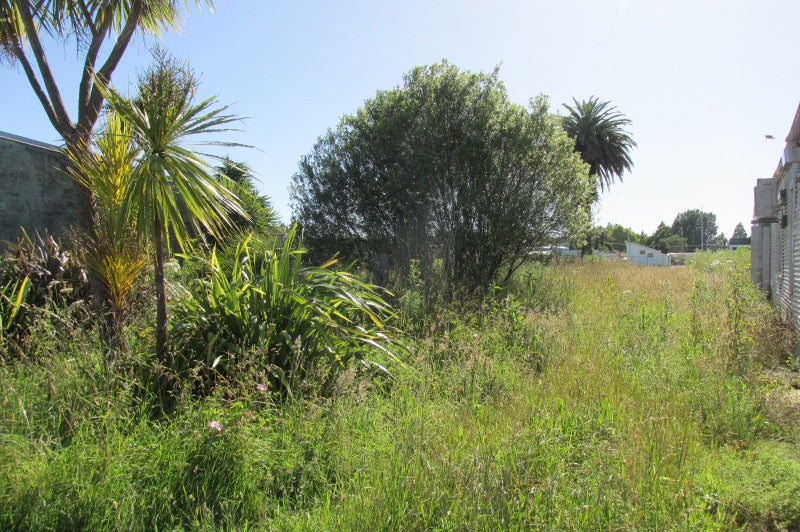 16 Carroll Street, Frasertown, Wairoa - Carousel 5