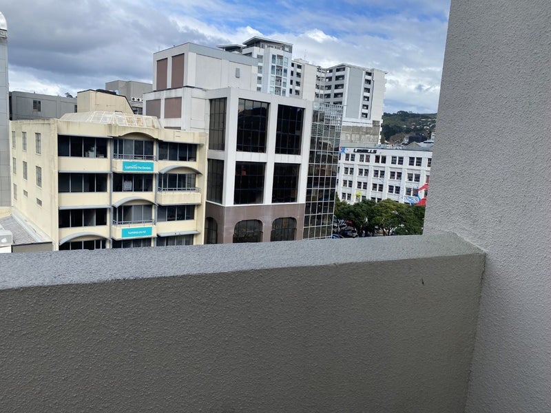 602/120 Courtenay Place, Te Aro, Wellington - Carousel 14