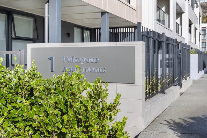 202/1 Percy Winstone Lane, Stonefields, Auckland - Carousel 26