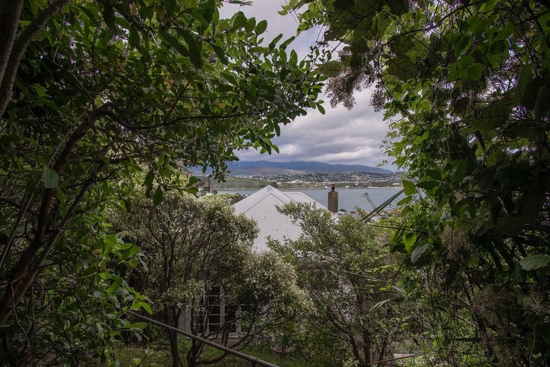 30 Marewa Road, Hataitai, Wellington - Carousel 11