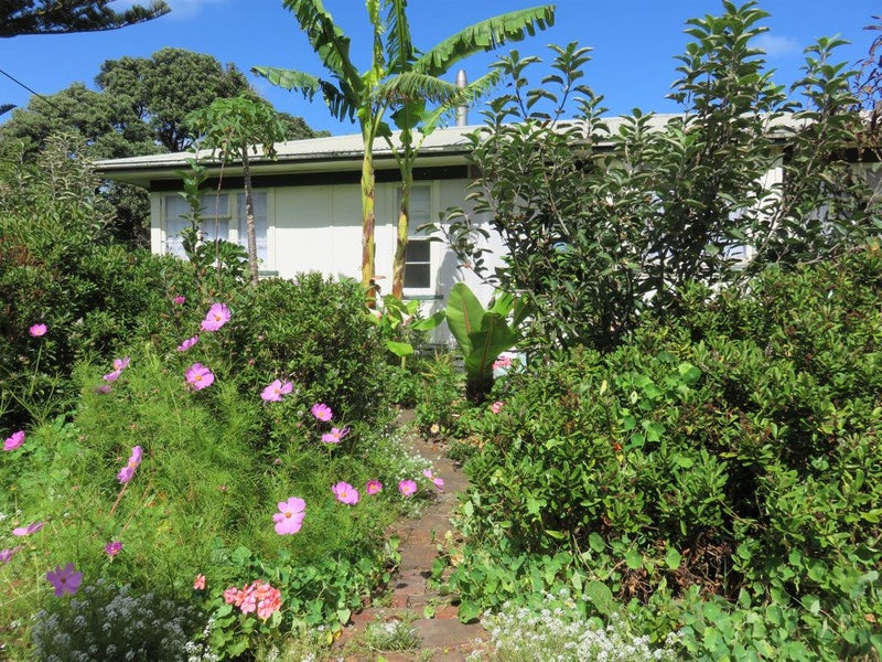 6 Coates Avenue, Dargaville - Carousel 16