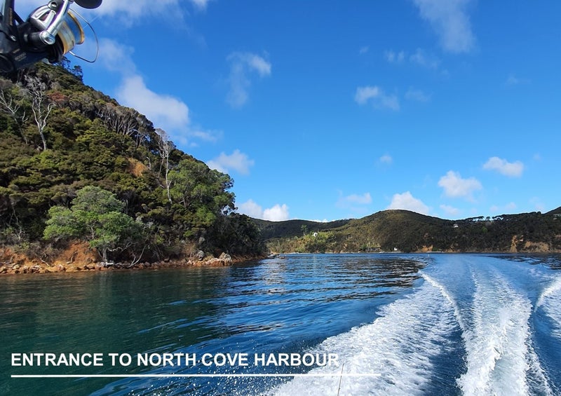 103 North Cove, KAWAU ISLAND, Kawau Island - Carousel 19