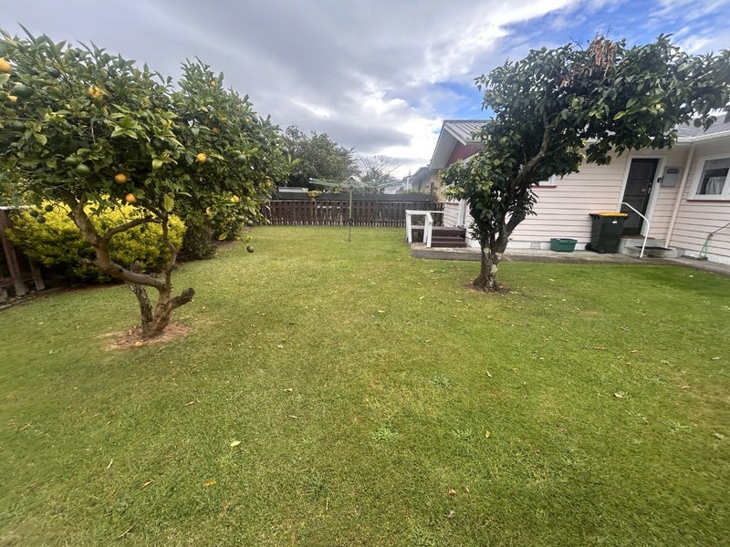 50 Kennedy Drive, Levin, Levin - Carousel 16