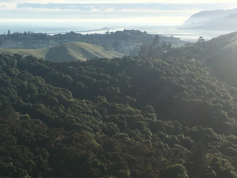 11 Istana Place, Britannia Heights, Nelson - Carousel 2