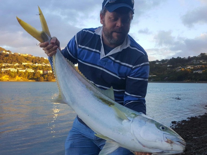 54 Seaview Road, Paremata, Porirua - Carousel 22