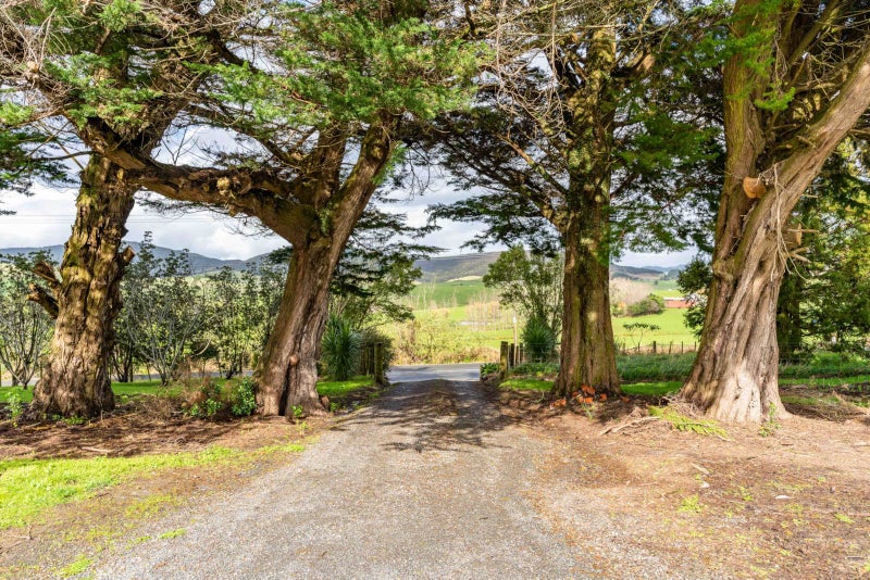 243 Pataua Road, PATAUA SOUTH, ONERAHI - Carousel 15
