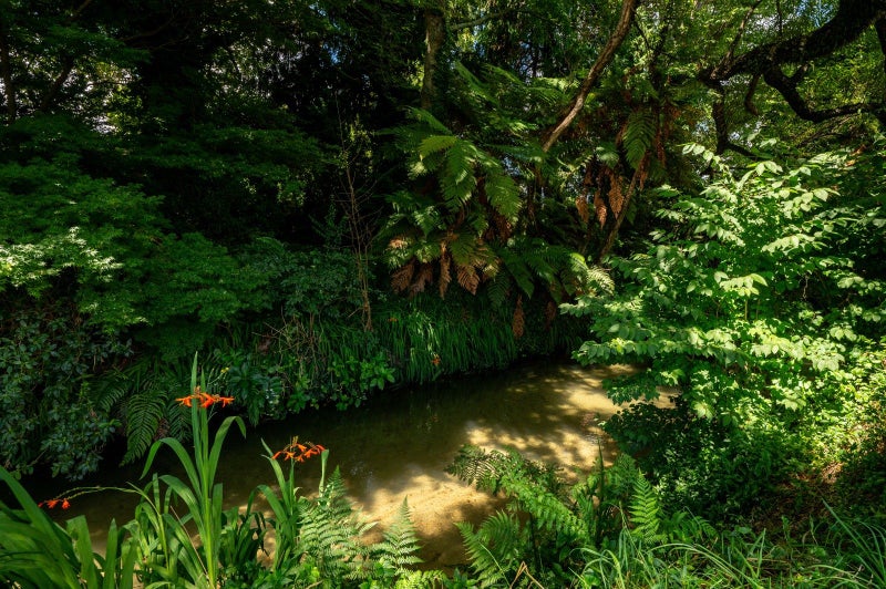 266 Malfroy Road, Pomare, Rotorua - Carousel 15