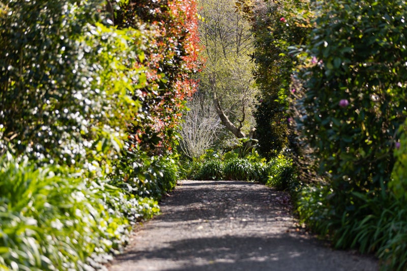 356 Belk Road, Tauranga - Carousel 37