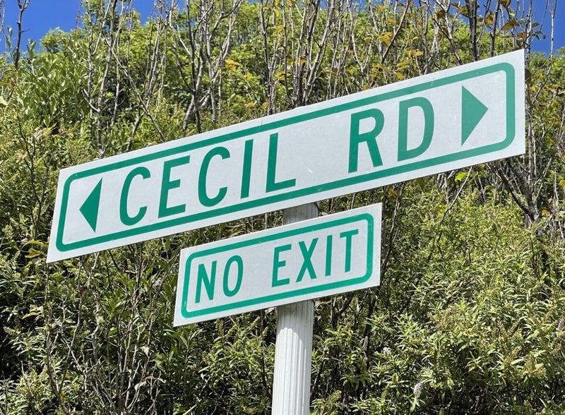 84B Cecil Road, Wadestown, Wellington - Carousel 1