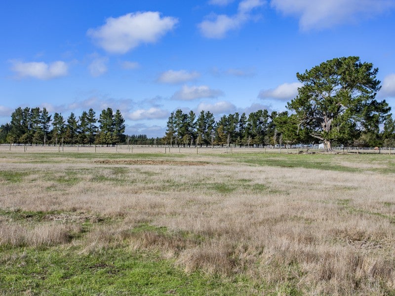 663 Poyntzs Road, Rangiora - Carousel 20