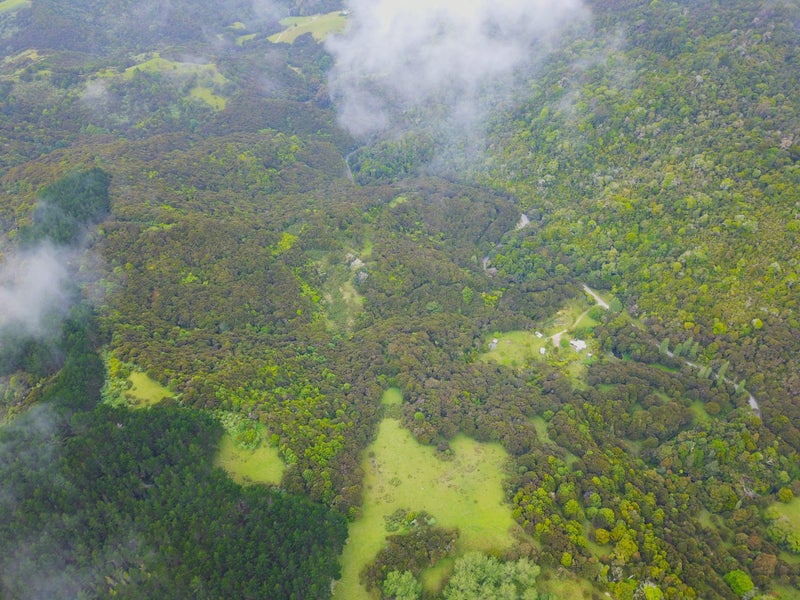 390 Toatoa Road, TAIPA, KAITAIA - Carousel 2