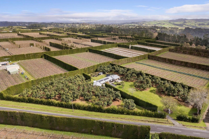 370 Belk Road, Tauranga - Carousel 26