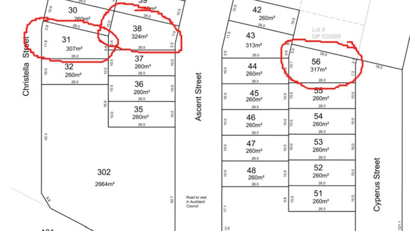 11 Cyperus Street, Flat Bush, Auckland - Carousel 1