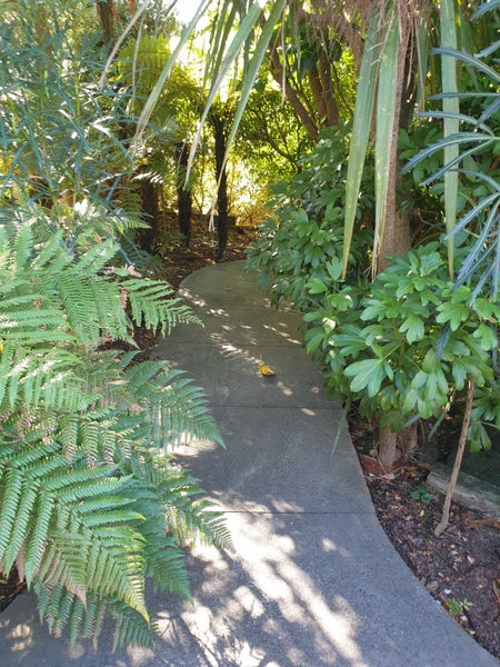 2 Tainui Road, Cockle Bay, Auckland - Carousel 39