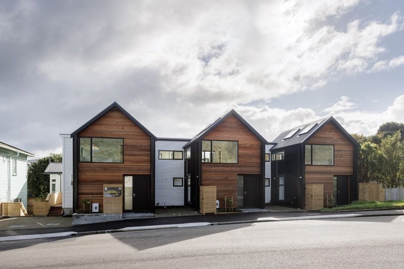 2/193 Daniell Street, Newtown, Wellington - Carousel 1