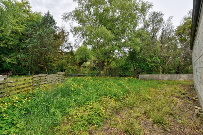 17 Meadow Street, Mornington, Dunedin - Carousel 16