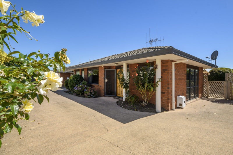 725C Cameron Road, Tauranga South, Tauranga - Carousel 1
