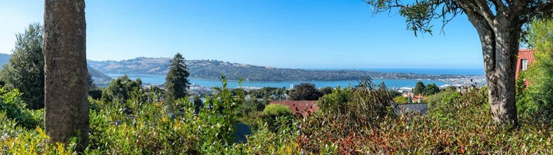 22 Garfield Avenue, Roslyn, Dunedin - Carousel 27