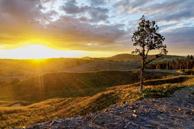 0 Bull Rd, Paparoa - Carousel 1