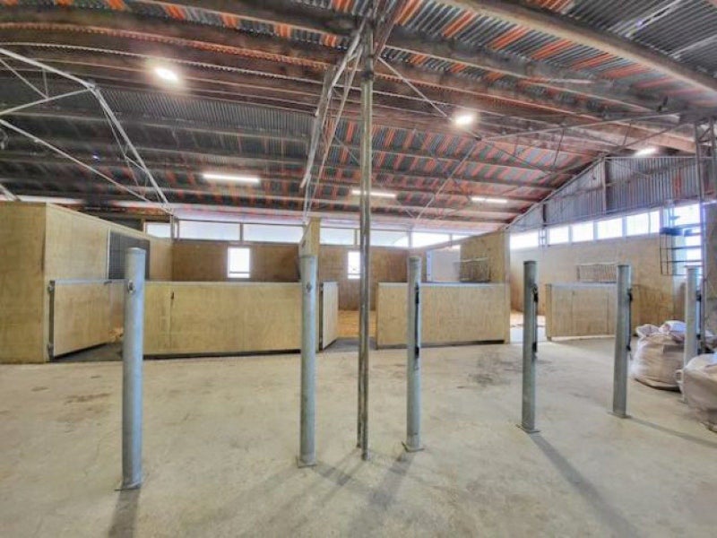 475 Ellesmere Road, Christchurch - Carousel 33