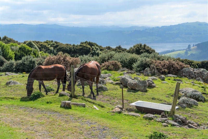 764 Blueskin Road, Mount Cargill, Waitati - Carousel 1