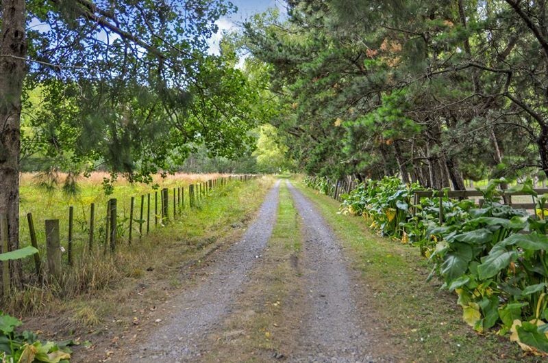 143A Postman Road, Albany - Carousel 12