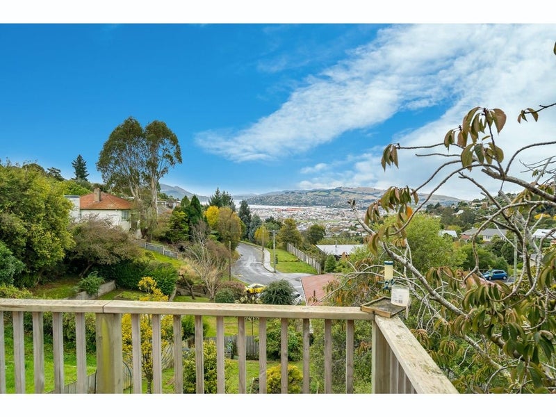 117 Riselaw Road, Calton Hill, Dunedin - Carousel 1