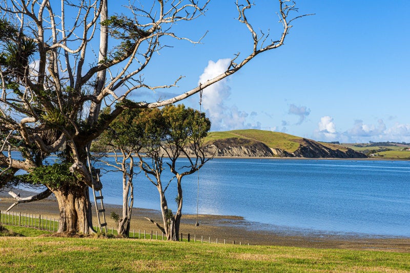 164 Beatson Road, Whakapirau - Carousel 2