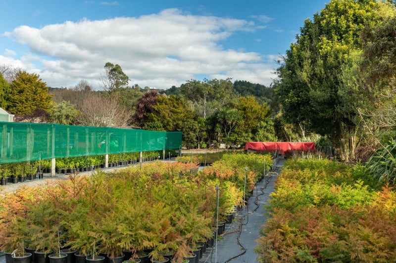 48 Loop Road, Tauranga - Carousel 33