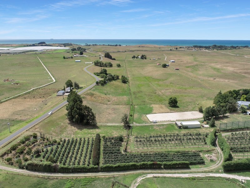 95 Ohinepanea Road, Te Puke - Carousel 1