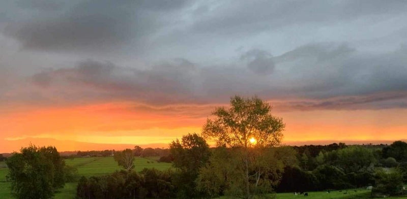 3330 Ohaupo Road, Rukuhia - Carousel 30