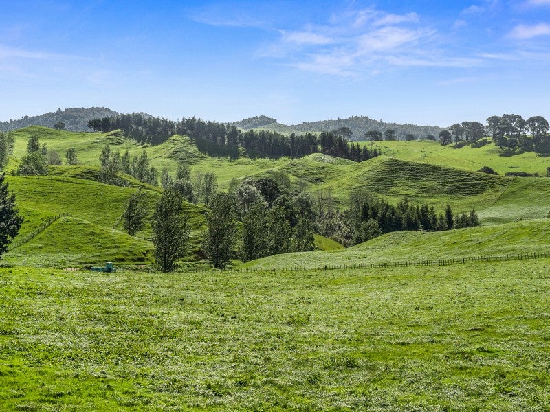 66 Thorn Road, Lower Kaimai, Tauranga - Carousel 10