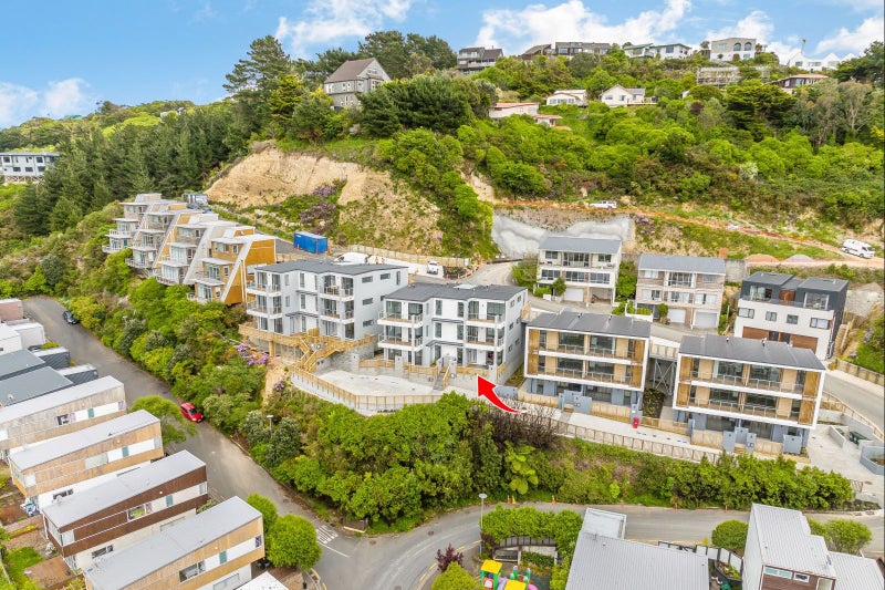 2/67 Tiketike Way, Brooklyn, Wellington - Carousel 20