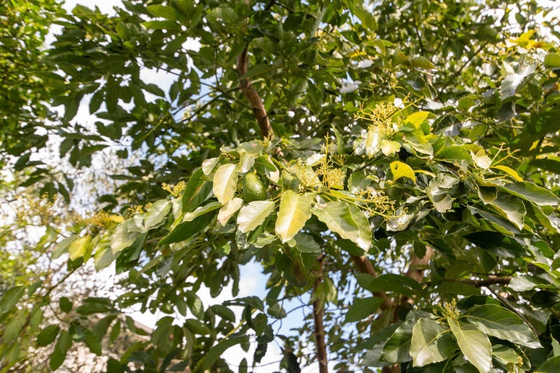 79 Pegasus Drive, Sunnybrook, Rotorua - Carousel 18