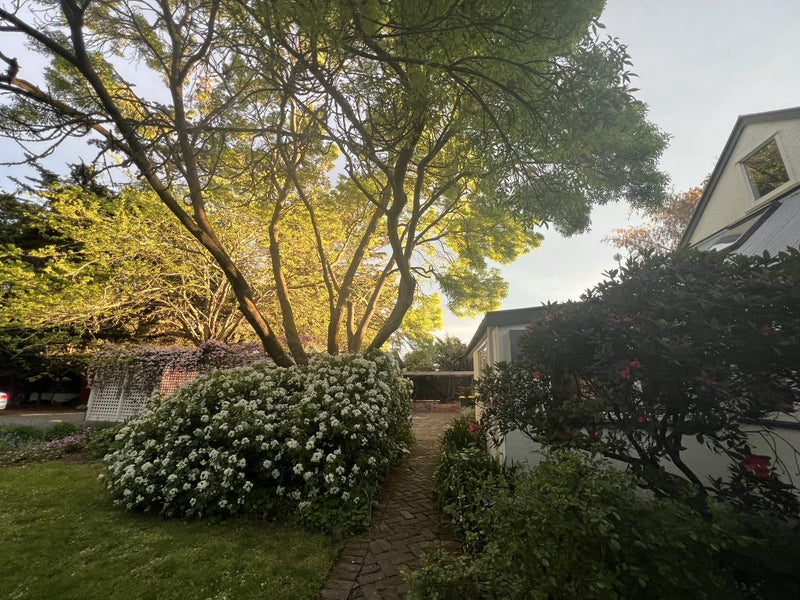 134 Ridge Road, Lincoln, Christchurch - Carousel 22