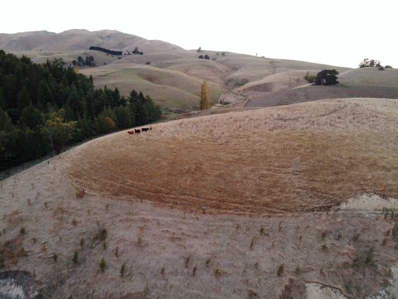 490 Bluff Rangitumau Road, Rangitumau - Carousel 12