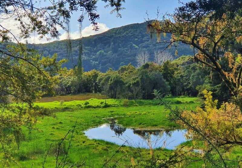 2482 Horeke Road, Horeke - Carousel 2