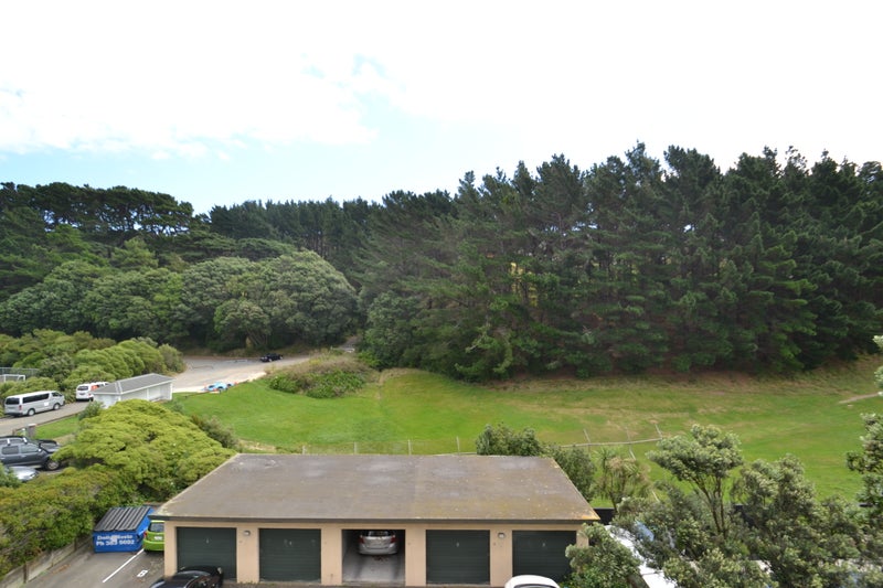 568E Adelaide Road, Berhampore, Wellington - Carousel 1
