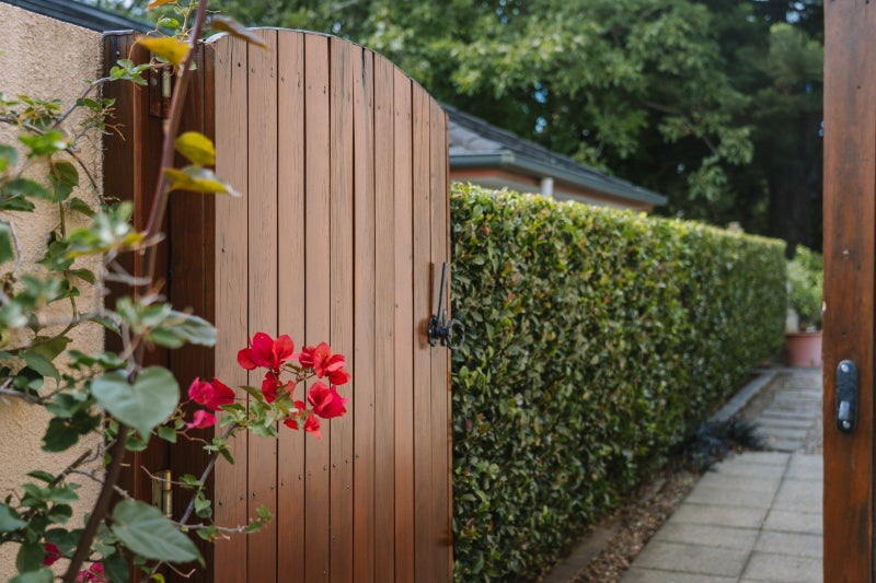 82 Orange Lane, Bethlehem, Tauranga - Carousel 23