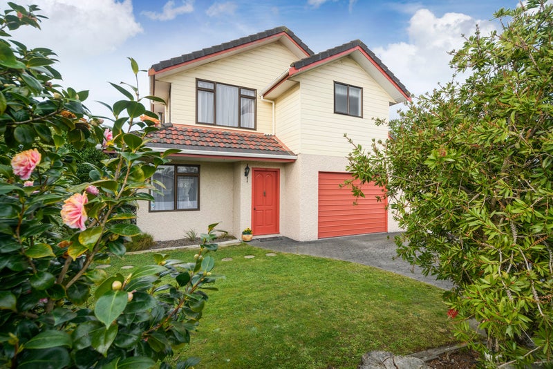 73 Wood Street, Takaro, Palmerston North - Carousel 19