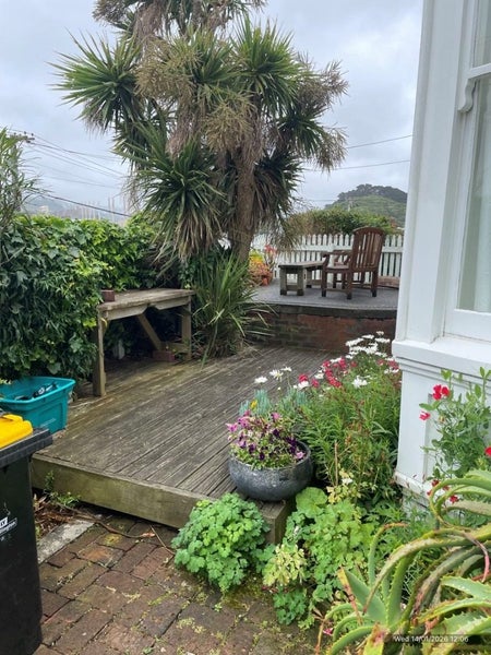 65 Coromandel Street, Newtown, Wellington - Carousel 2