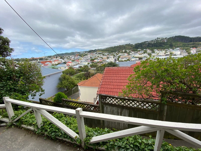 31 Daniell Street, Newtown, Wellington - Carousel 11