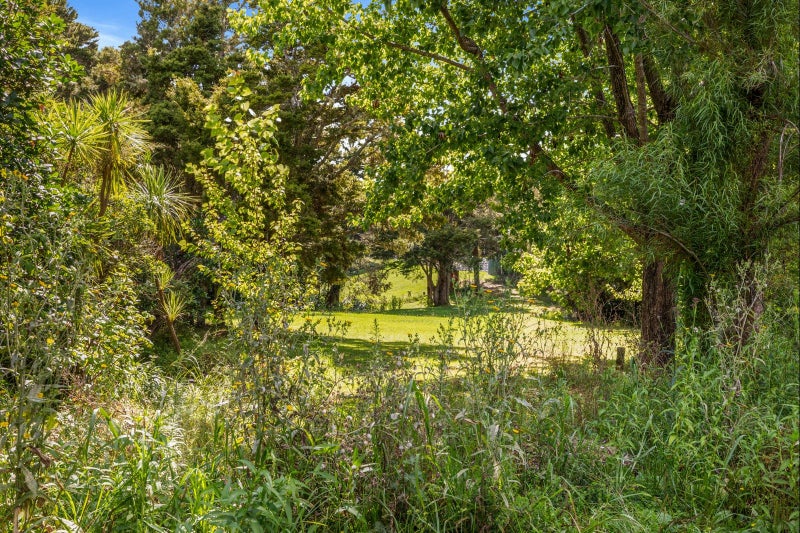 54 De Boer Lane, Kaiwaka - Carousel 18