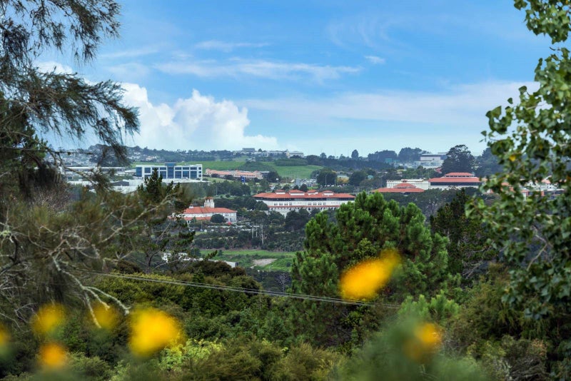 113 The Avenue, Lucas Heights, Auckland - Carousel 22