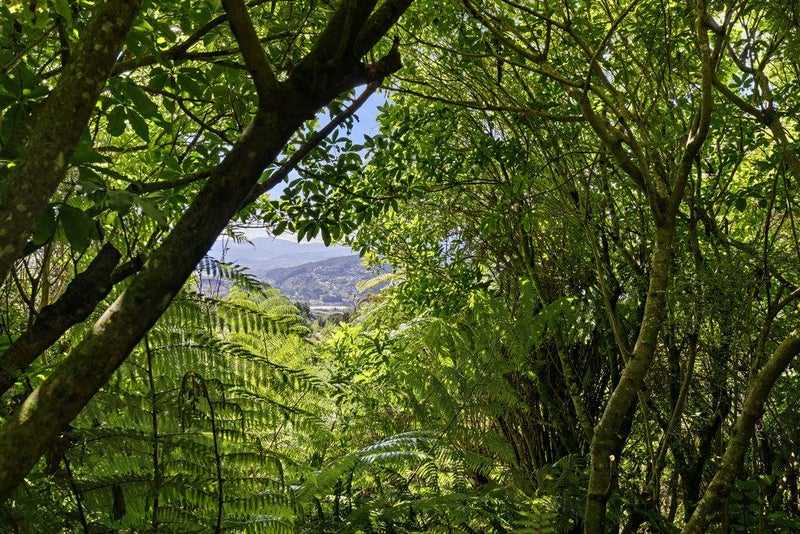 3 Owaka Close, Kelson, Lower Hutt - Carousel 21