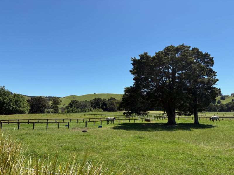 145A Port Marsden Highway, Ruakaka, Ruakākā - Carousel 46