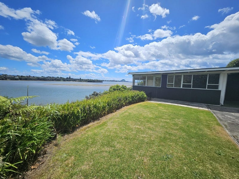 52 Vine Avenue, Maungatapu, Tauranga - Carousel 19